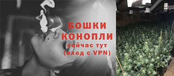 не бодяженный Ельня