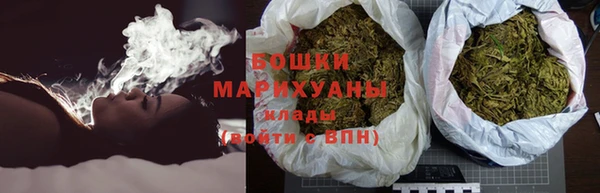 крисы Елабуга