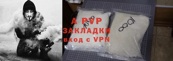 крисы Елабуга