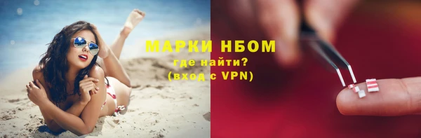 крисы Елабуга