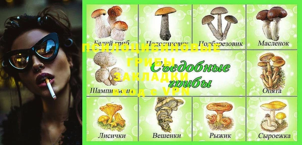 крисы Елабуга