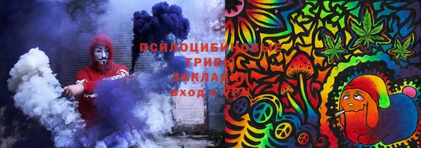 не бодяженный Ельня