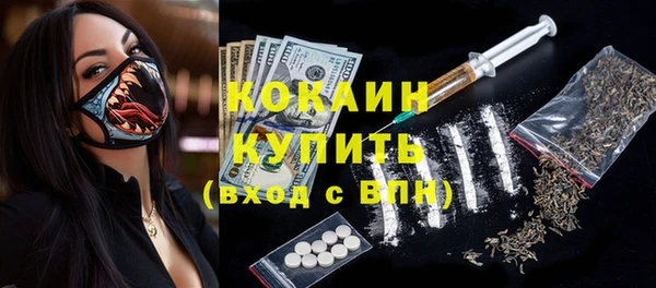 крисы Елабуга
