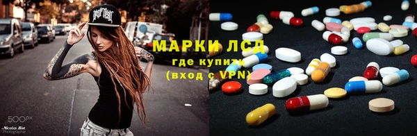 крисы Елабуга