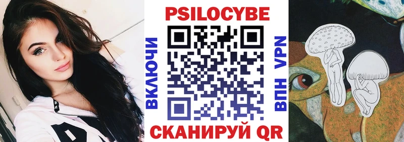 Псилоцибиновые грибы Psilocybe  blacksprut ссылки  Елизово 