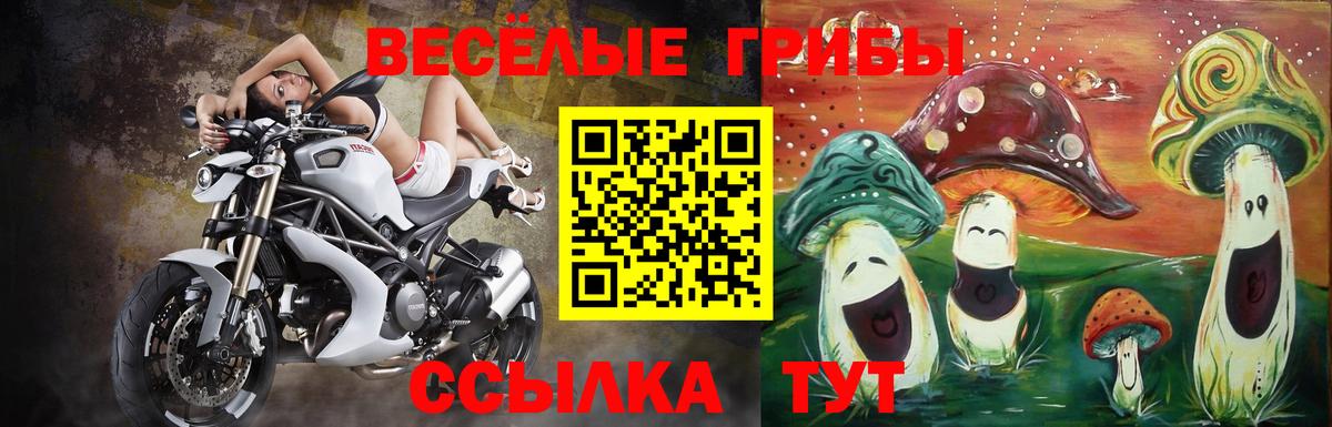 Елизово  Галлюциногенные грибы мухоморы  Галлюциногенные грибы MAGIC MUSHROOMS  Вход с VPN 